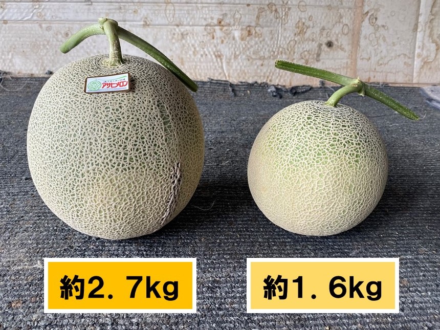 秀品 北海道 「夕張IKメロン」 4玉 8キロ 品種 ルピアレッド 秀品 4玉北海道アサヒメロン8キロ 「品種:ルピアレッド」